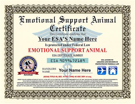 People with mental health conditions felt the presence of an animal is enough to be happier and struggle with their disorder. Printable Service Dog Certificate That are Nifty | Wright ...