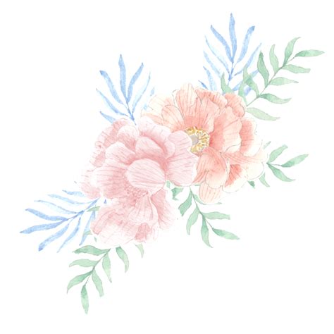Peony Watercolor Flower Arrangement For Decoration Free Png And Psd