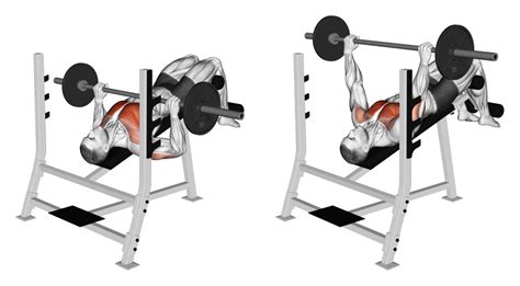 Barbell Decline Bench Press Benefits Muscles Worked And More Inspire Us