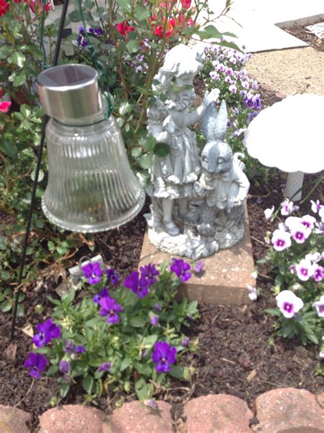 We did not find results for: Alice In Wonderland | Alice in wonderland, Plants, Garden