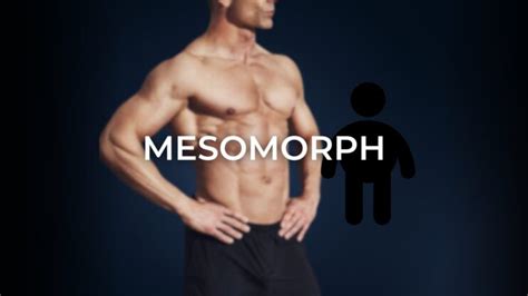 3 Male Body Types Ectomorph Mesomorph Endomorph