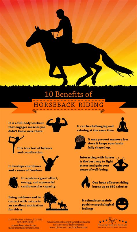 10 Benefits Of Horseback Riding Visually