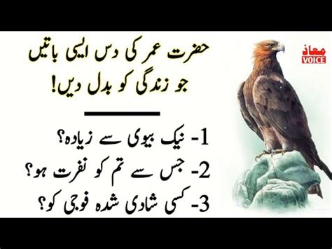 Amazing Quotes In Urdu Best Collection Of Hazrat Umar Quotes Maaz