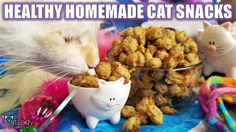 Diy pet homemade cat food organic homemade grain free dog food matou pet treats kitten treats diy stuffed animals pet care. How to make THE BEST HOMEMADE KITTY TREATS (grain-free ...