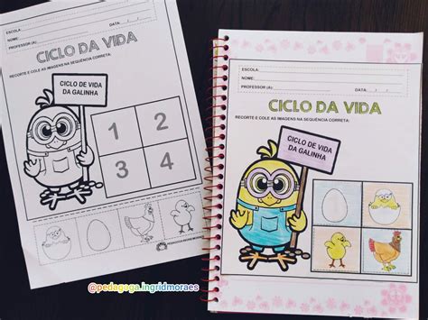 Atividade Ciclo De Vida Dos Animais