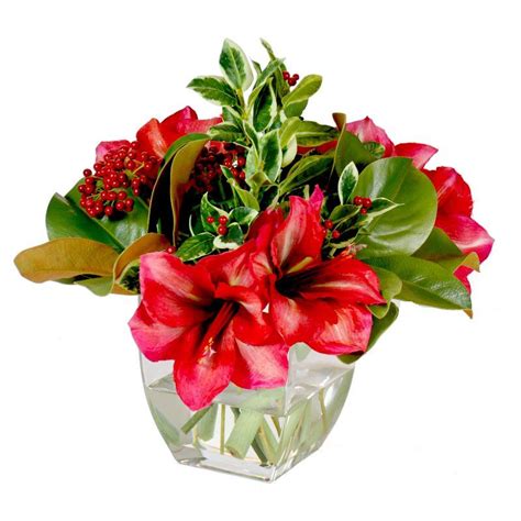 jane seymour botanicals 15 in amaryllis holiday bouquet with square