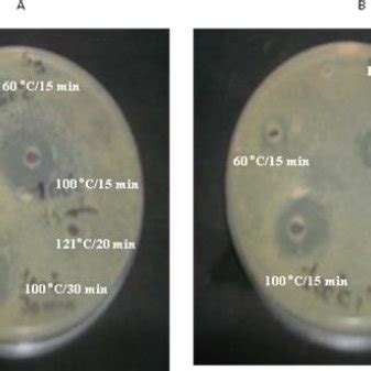 Do you know that camel is a cure of. Effect of heat treatment on antimicrobial activity of BL ...