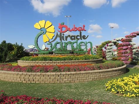 The location of the company garden gate trading and directions can be. Miracle Garden Dubai |Dubai Miracle Garden | Flower |Diary ...