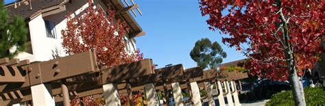 What's the difference between, and significance of, ucsd's different just look at linkedin. Policies and Procedures