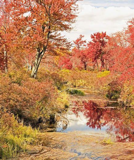 The Best Places To See Fall Foliage In The United States Fall Foliage