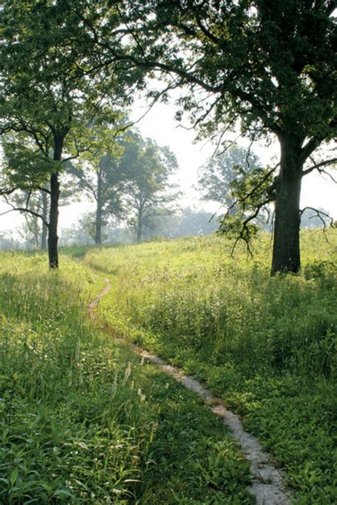 Uns gärtnern ist das pfaffenhütchen vor allem wegen seiner auffälligen, leuchtend gelben bis roten herbstfärbung und den dekorativen, aber leider stark. Einheimische Pflanzen für Ihren Garten