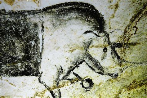 Billet d'entrée comprenant la visite guidée de la grotte, l'accès à la galerie de l'aurignacien, aux animations selon la saison. The Grotte Chauvet | Photos Horizon Provence