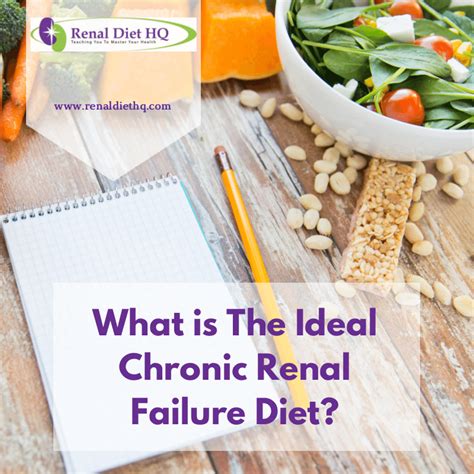 The renal diet is characterized by reductions in sodium, phosphorus and protein. A Chronic Renal Failure Diet Is Easy With A Meal Plan ...