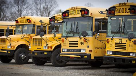 Heres Why School Buses Are Yellow And Dont Have Seat Belts