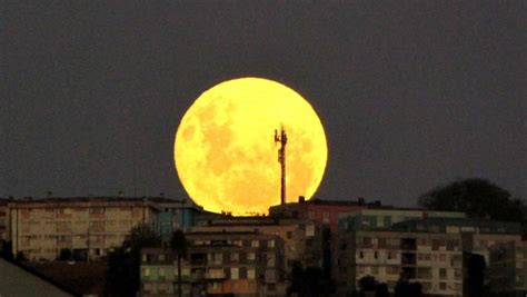 سيضيئ القمر الدموي العملاق سماء الليل غدًا، ويظهر بنسبة تصل إلى 14% أكبر و30% أكثر سطوعًا من القمر الكامل العادى، هذا لأن القمر في أقرب نقطة له وسيتحول لون القمر العملاق إلى اللون الأحمر لمدة 14 دقيقة أثناء الكسوف، بدءًا من الساعة 12:18 بتوقيت جرينتش. لماذا نقول "قمر 14"؟ - شبكة ابو نواف