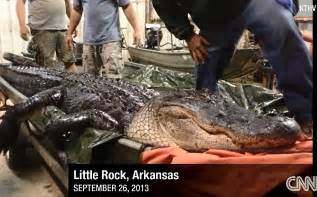 Hunter Shoots Dead Record Breaking 1100 Pound 14 Foot Alligator On