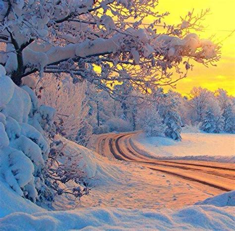 Sunset In Winter Beautiful Xmas In Winter Wonderland Pinterest