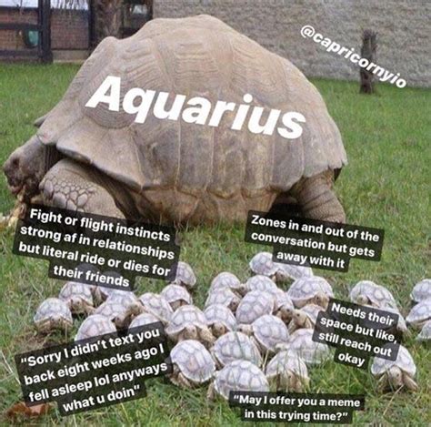 Aquarians are born between january 21. The Funniest Memes That Describe What It's Like To Be An ...
