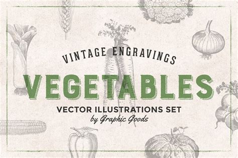 Deliciously Vintage Vegetable Engravings Over 70 Illustrations