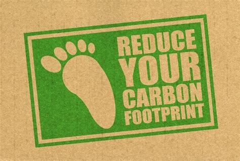 40 Remarkable Ways To Reduce Your Carbon Footprint Conserve Energy Future