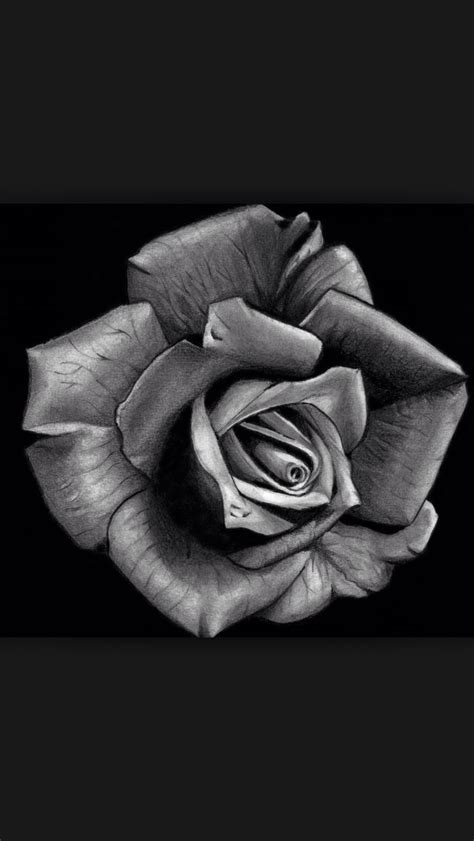 Black Rose Tattoo Rose Flower Tattoos Black Rose Tattoos Roses Drawing