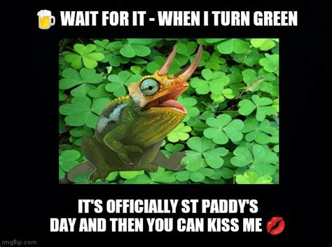 Kiss Me Im Irish Imgflip