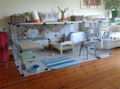 1000 Ideas About Indoor Guinea Pig Cage On Pinterest Guinea Pig