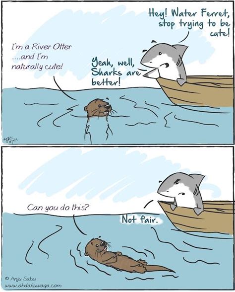 Oh Dakuwaqa The Shark Comics And Cartoons Water Ferret Gets The Last Laugh Funny