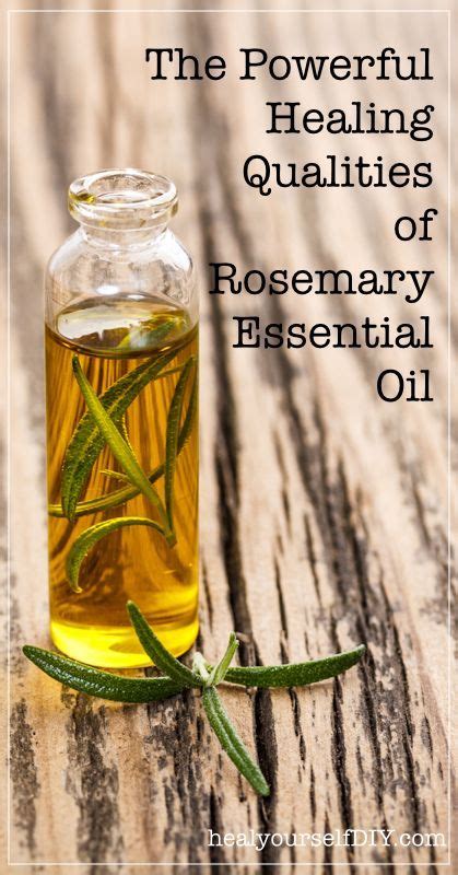 The Powerful Healing Qualities Of Rosemary Essential Oil Essential
