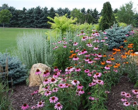 Layering Your Landscape Using Trees Shrubs And Perennials Pahls