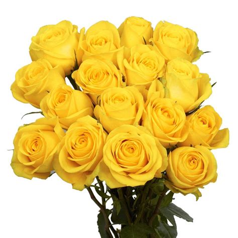 Rose colors can be used to express many sentiments in a gift of flowers. Globalrose Fresh Yellow Roses (50 Stems)-50-yellow-roses ...