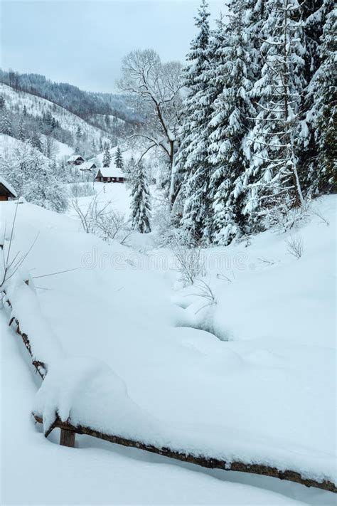 Winter Ukrainian Carpathian Mountains Landscape Stock Image Image Of