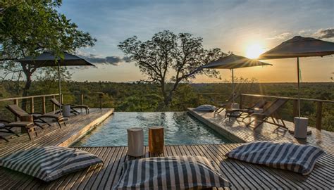 Luxury South African Safaris Back In Town