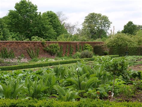As office staff may be working from home, the council and arden hall offices are not always staffed. Ragged Robin's Nature Notes: Castle Bromwich Hall Gardens ...