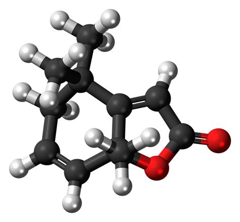 Download Actinidiolide Pheromone Molecule Royalty Free Stock