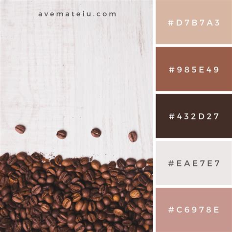 Coffee Beans Composition On White Background Color Palette 273 Ave