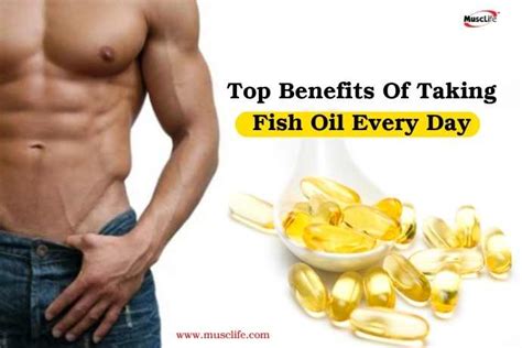 Top Benefits Of Taking Fish Oil Every Day Musclife