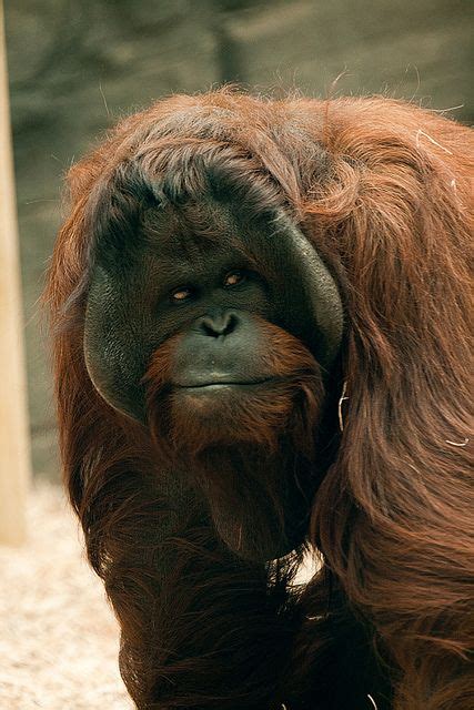 What Is The Closest Zoo Near Me - LOQCAL