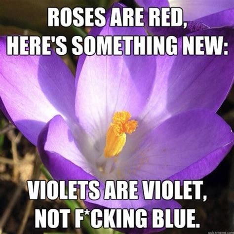 Pin By Steph Sweeney On Humor Funny Poems Roses Are Red Funny