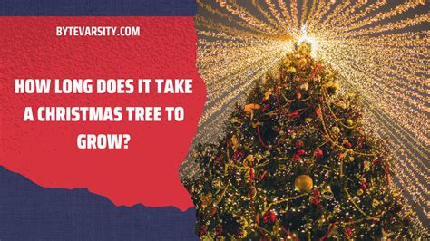 How Long Does It Take A Christmas Tree To Grow Bytevarsity