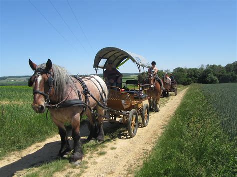 Des Balades En Calèche Avec Les Sabots Du Relais