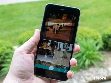 Chances are, you have never heard of exalead before. Bing on iPhone and iPad adds image search with latest ...