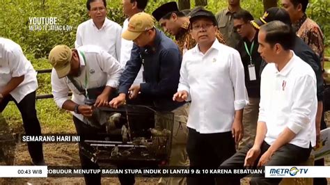 Gunung dengan medan yang berat dan sulit ini merupakan gunung idola bagi para pendaki penyuka tantangan yang menguji adrenalin. SEMARANG HARI INI - Kunjungi Taman Nasional Gunung Merbabu ...