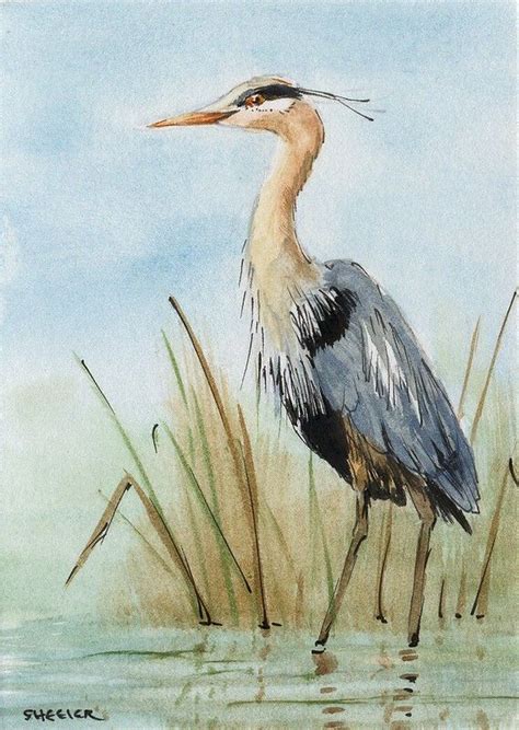 Learn How To Draw A Great Blue Heron Birds Step By Step Artofit