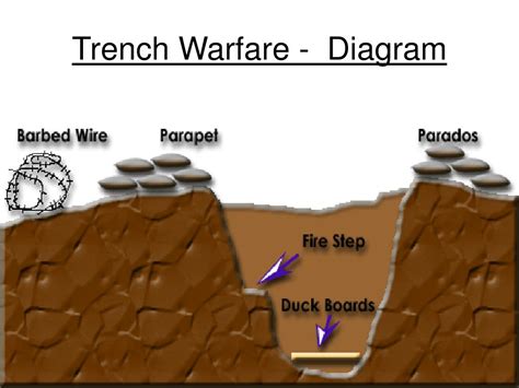 Ppt Trench Warfare Powerpoint Presentation Free Download Id3116264