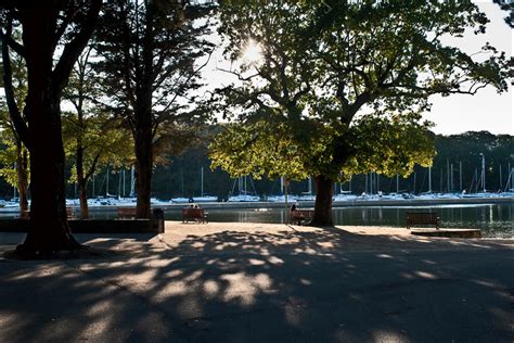 Pour les articles homonymes, voir conleau (homonymie). Pixelistes • Conleau (Vannes - 56) : Paysages