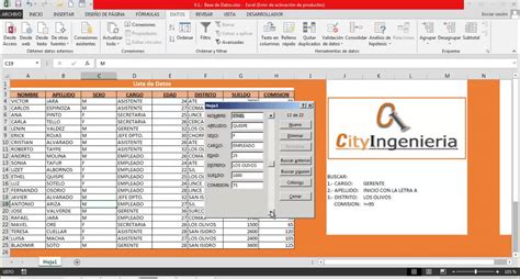 Excel Avanzado 2013 Base De Datos Formulario De Entrada
