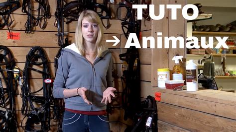 Comment Entretenir Ses Cuirs En Quitation Les Tutos P Che Chasse Nos Animaux Youtube