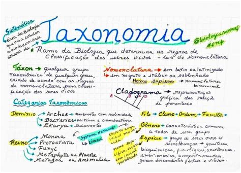 Taxonomia Resumos E Mapas Mentais Infinittus