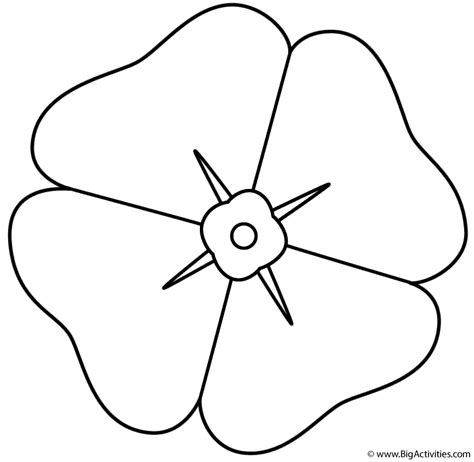 Poppy Coloring Page Memorial Day